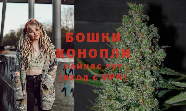 трава Бородино