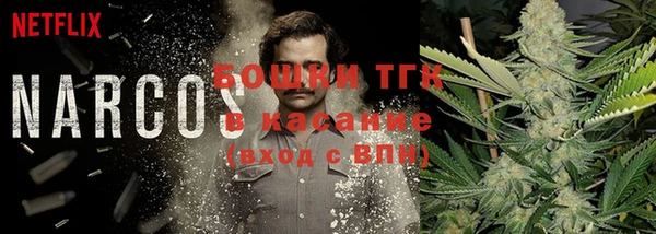 трава Бородино